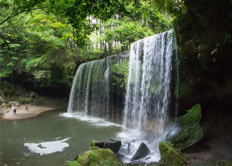 見所の画像